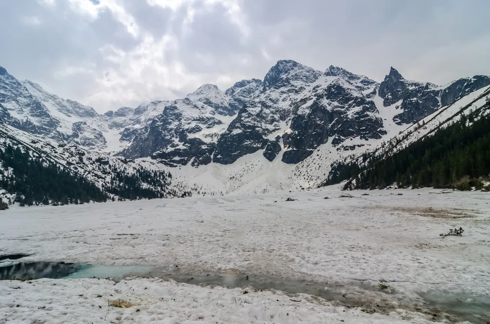 Transport konny na Morskie Oko. Są przełomowe zmiany