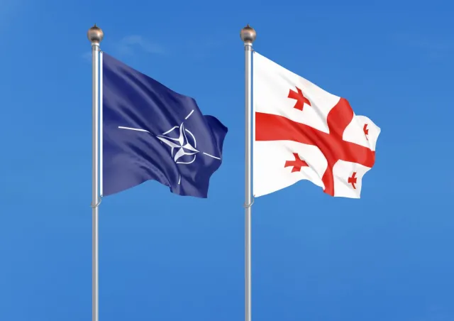 Spotkanie szefa NATO z premierem Gruzji. Stoltenberg: Będziemy wspierać aspiracje Tbilisi do wstąpienia do Sojuszu