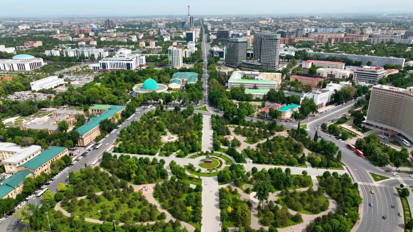 Każde drzewo w stolicy Uzbekistanu będzie mieć "paszport" i osobistego opiekuna