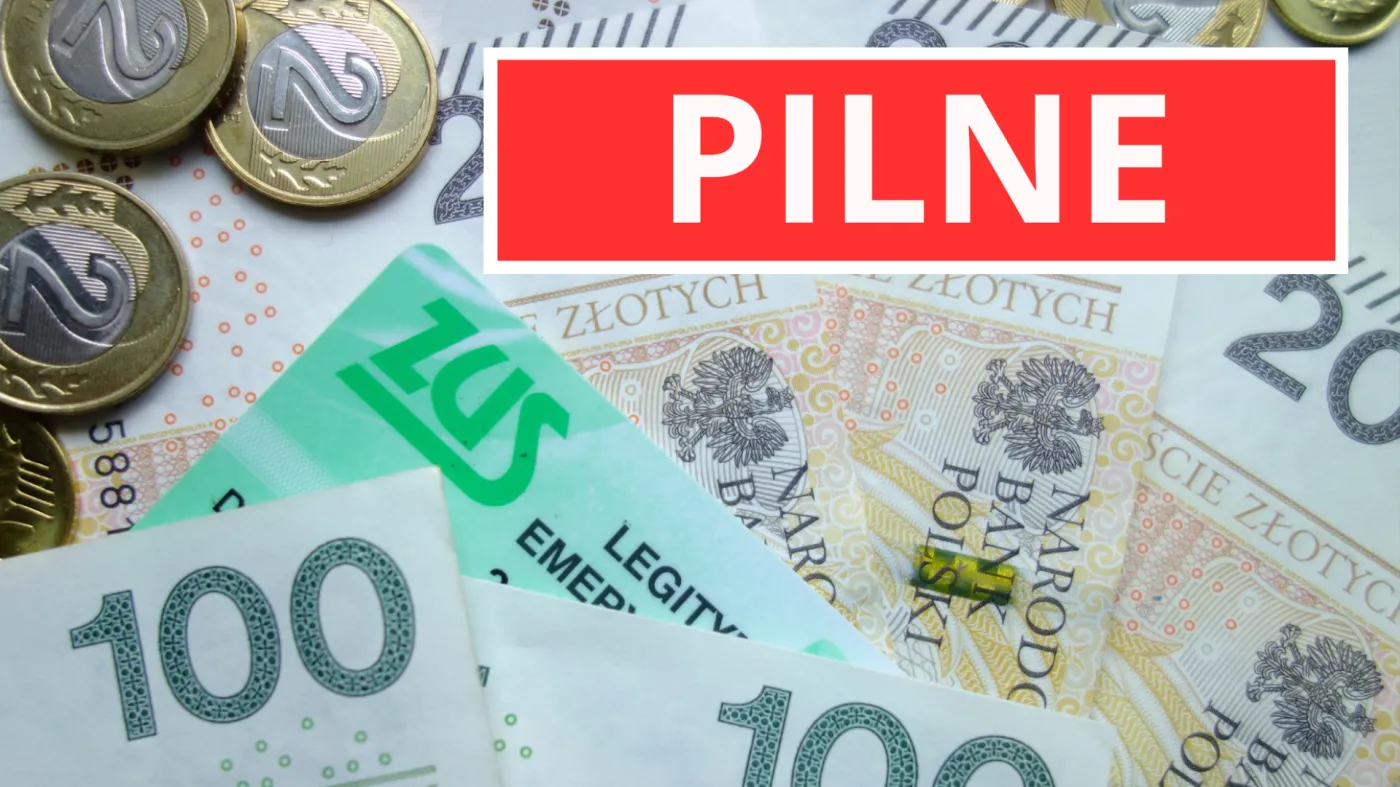 ZUS, pilne, legitymacja