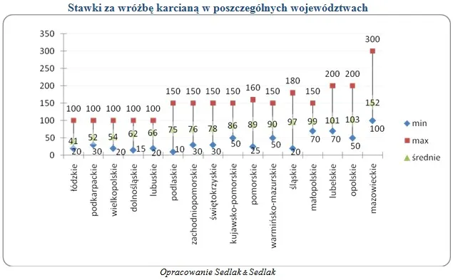 ile_zarabiaja_wrozki_w1_291421.jpg