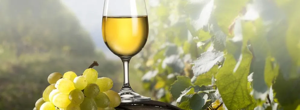Wino z popdkarpacia: niższe plony, lepsze wino