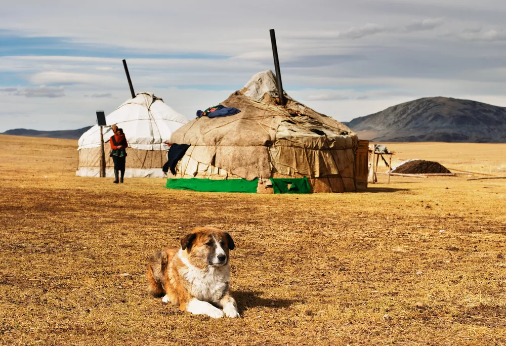 Prezydent Mongolii w Polsce. Ten kraj ma gigantyczny potencjał