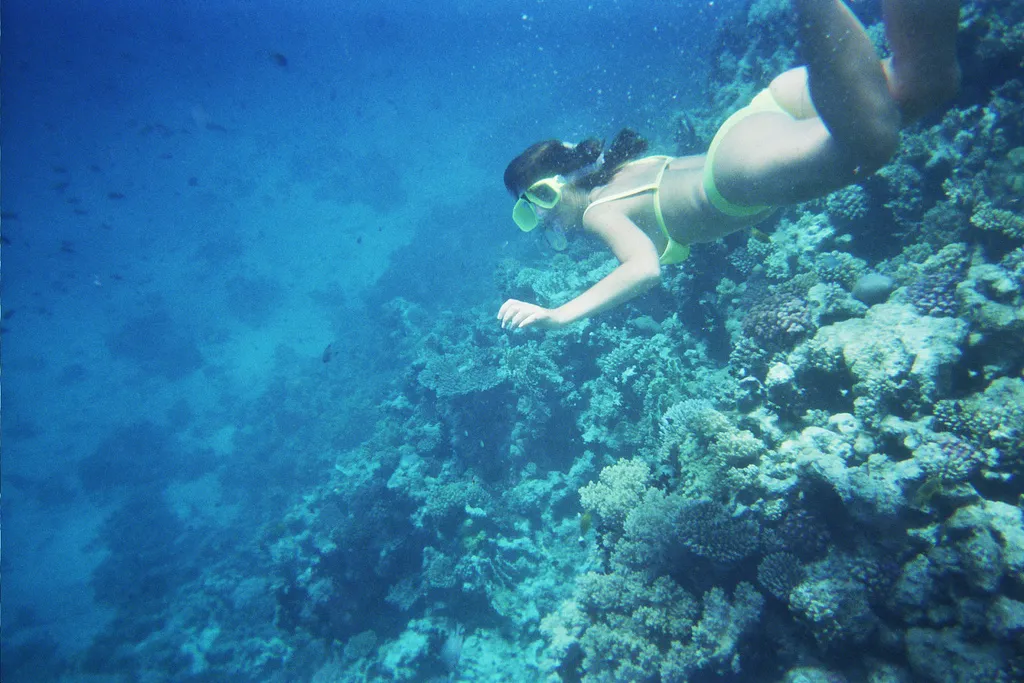 snorkeling_at_hurgada_233694.jpg