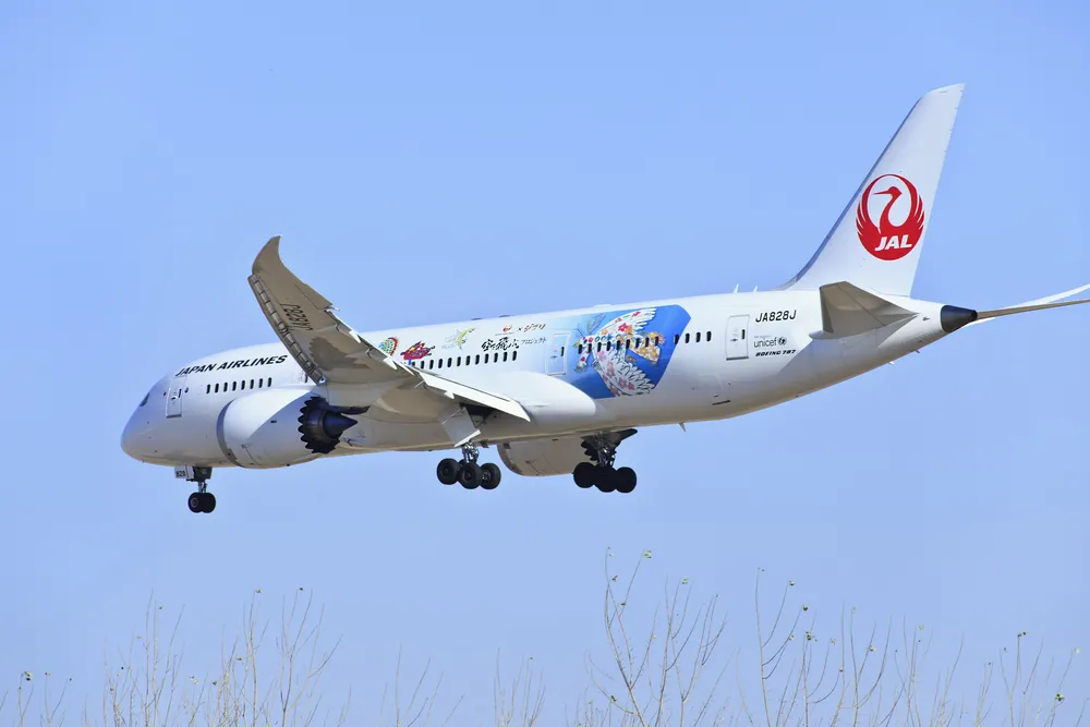 W USA zapalił się japoński Boeing 787 Dreamliner