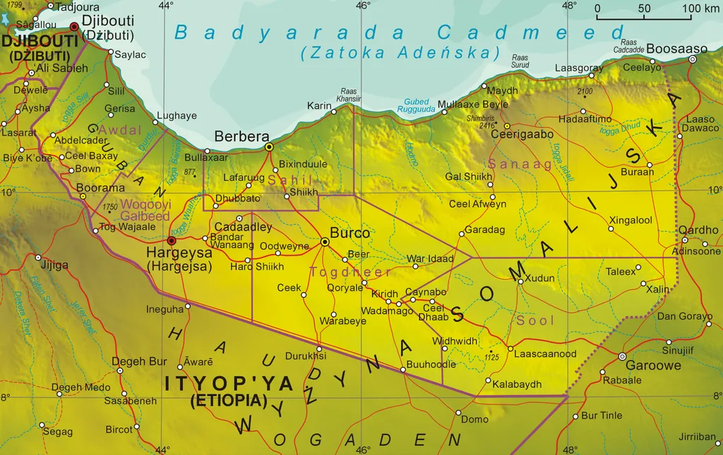 Somaliland. Ćwierć wieku nieuznawanej niepodległości [ANALIZA]