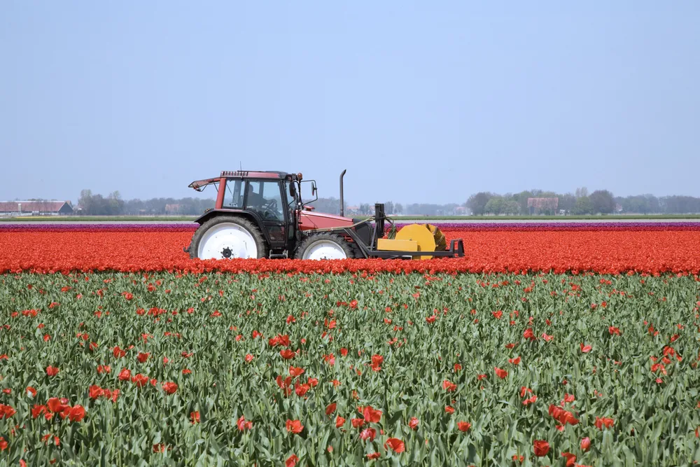 Polska może sięgnąć po 3 mld euro na wsparcie rolników w walce ze skutkami pandemii