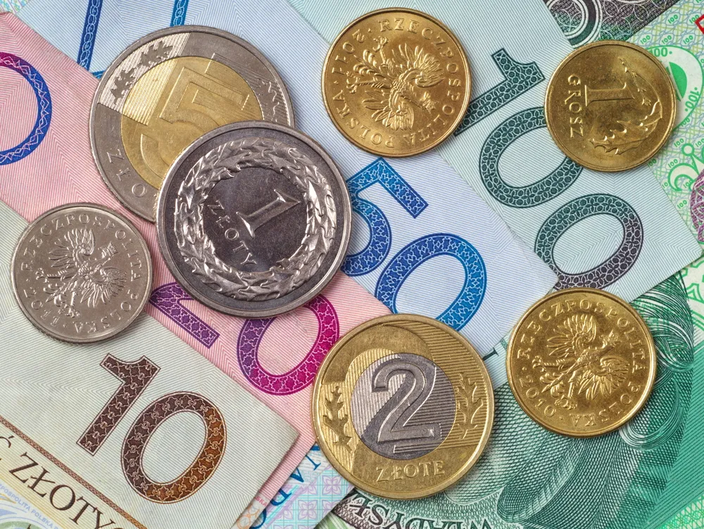 Deficyt sektora 'general government' wyniósł 6,1 mld zł w I kw. 2013 r.