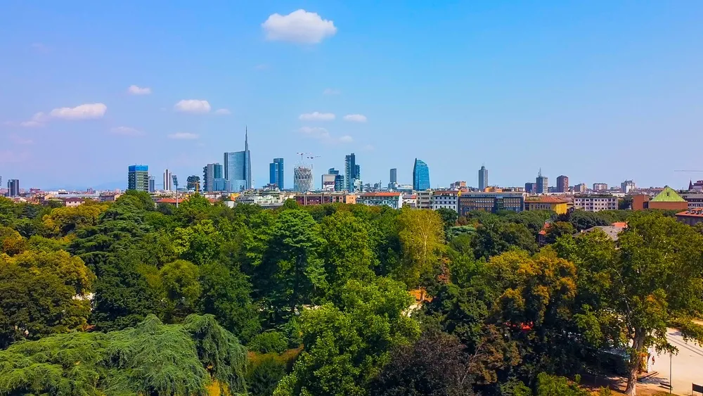 Program drzewa plus, inwestycje minus. Unia chce zazielenić miasta