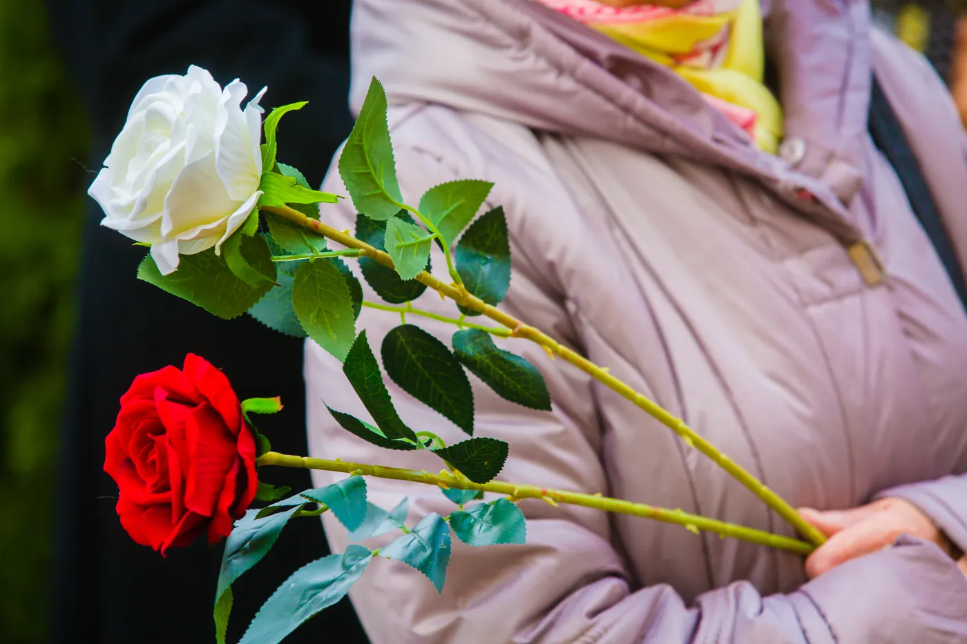 Tradycje i Zwyczaje Święta Niepodległości w Polsce. Defilady, koncerty i uroczystości