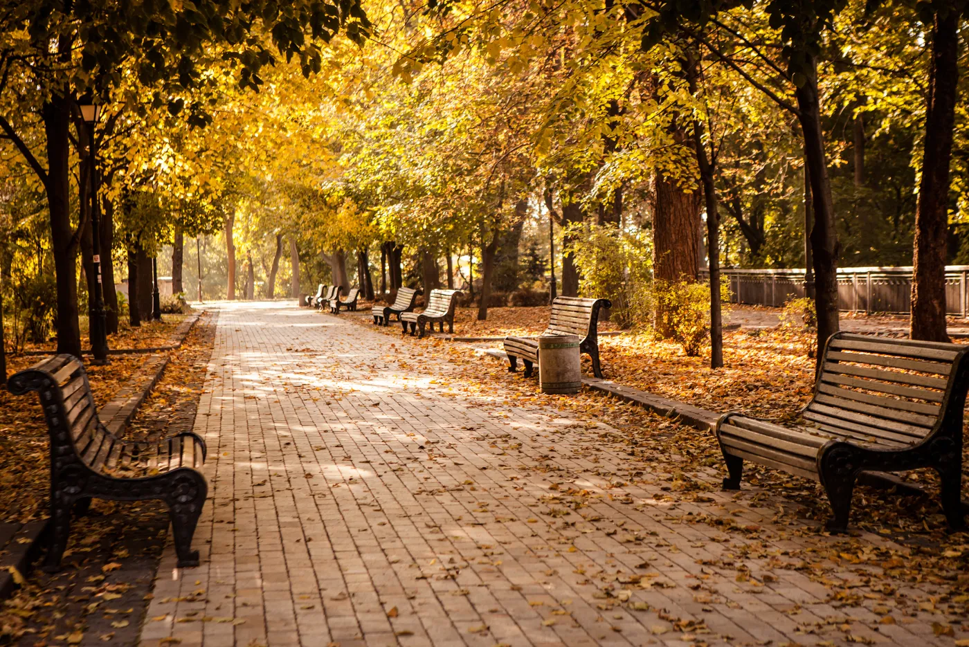 Miejski park to nie teren budowlany