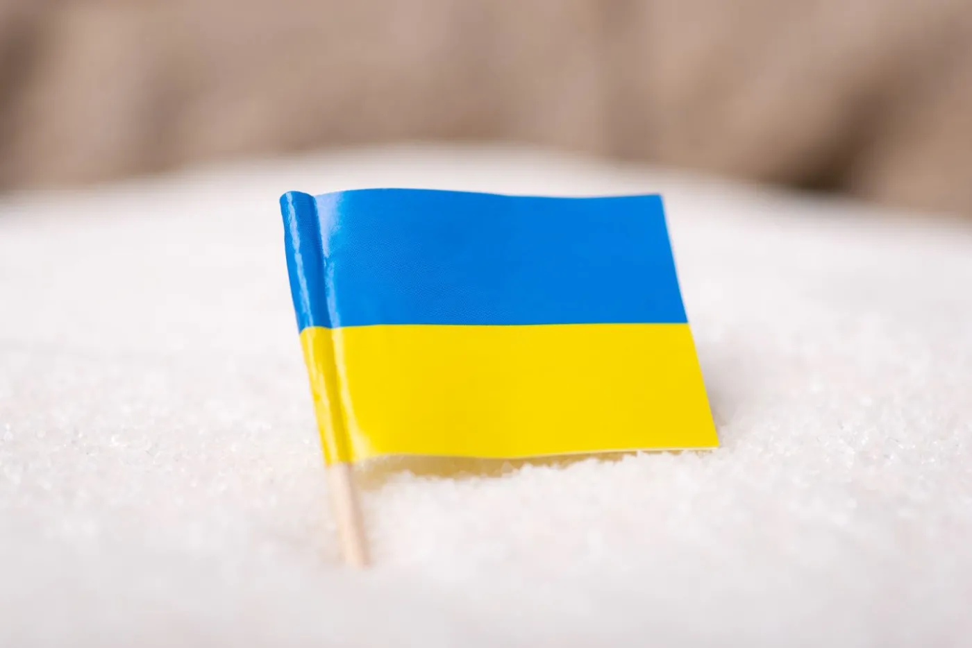 cukier, Ukraina, import, cło