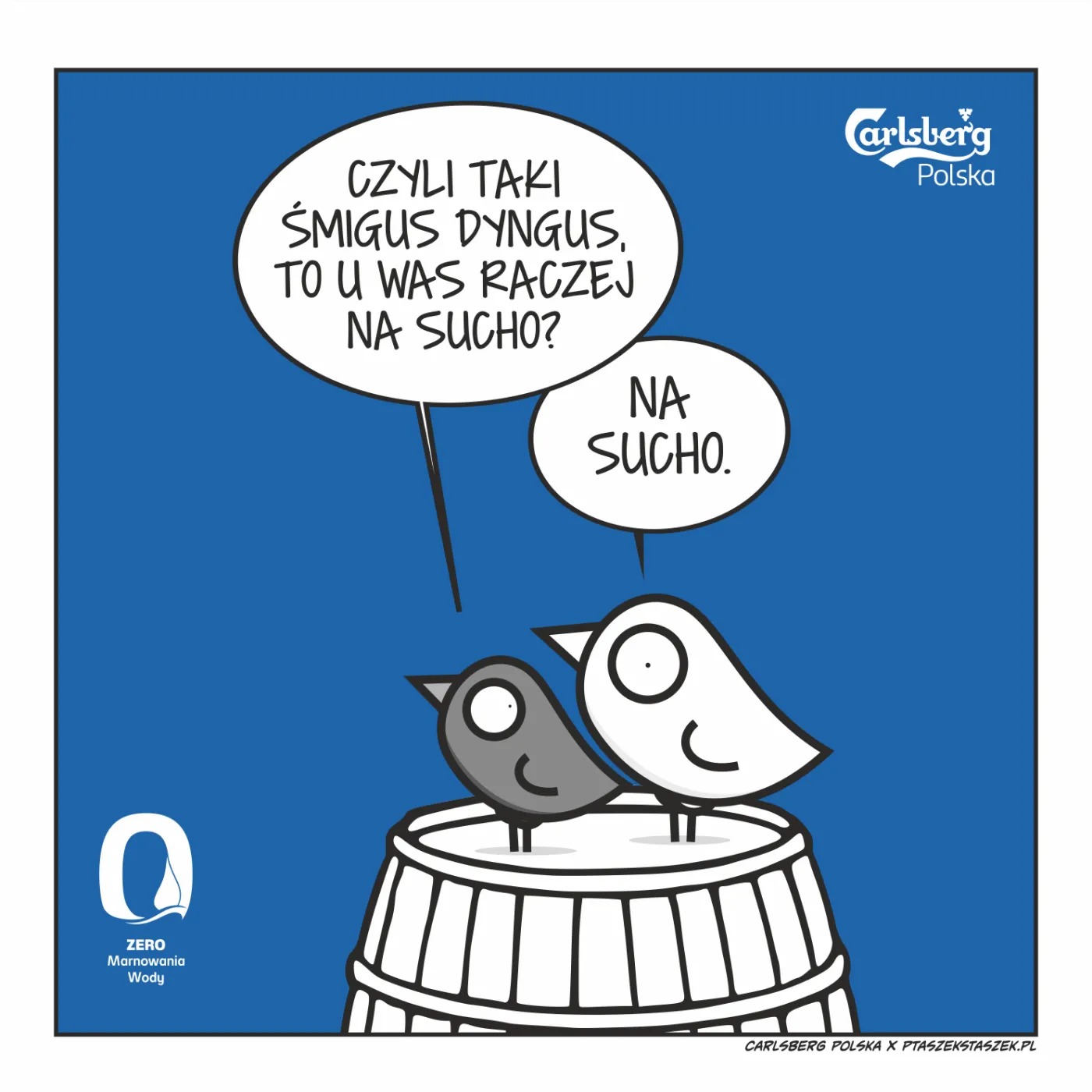 carlsberg, esg, oszczędzanie wody