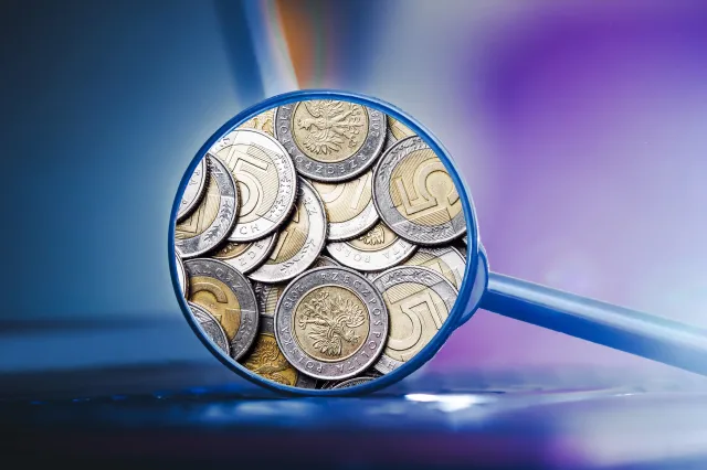 Procedura nadmiernego deficytu a budżet. Cięcia w 800+? Co z emeryturami i rentą wdowią?