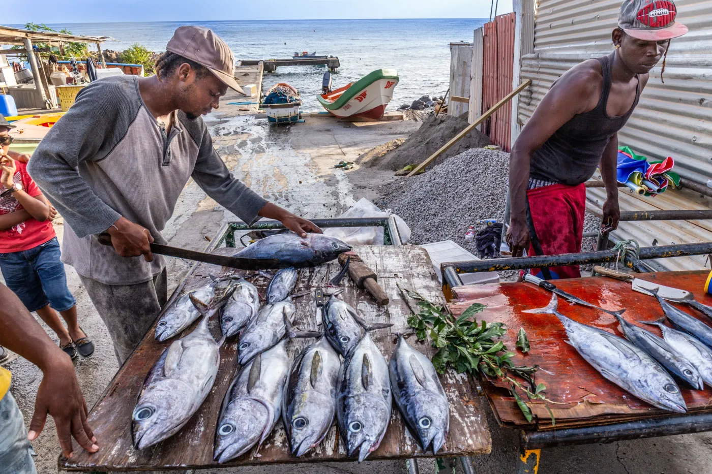 Roseau,,Dominica,-,April,27,,2016:,Fishermen,Preparing,Todays,Catch