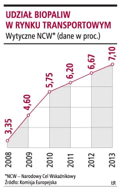 Udział biopaliw w rynku transportowym