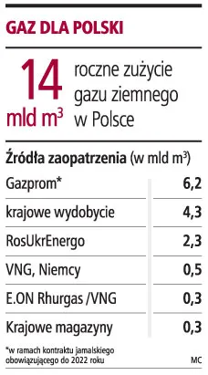 Trzeba się spieszyć z budową połączeń z gazową siecią UE