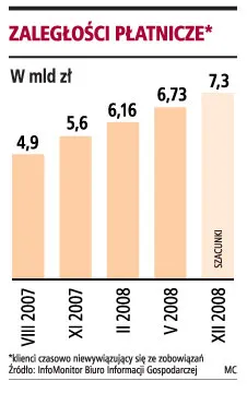 Zadłużenie Polaków zwiększa się co miesiąc o ponad 166 mln zł