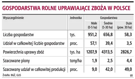 O cenach chleba zdecydują nie ceny zbóż, lecz potrzeby piekarzy