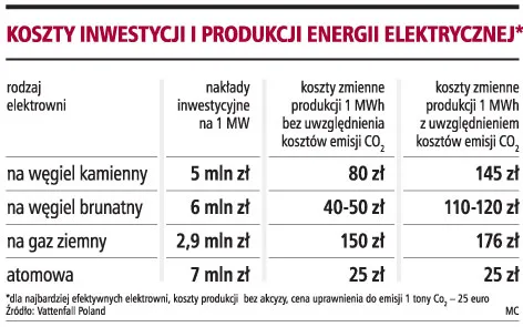 Koszty inwestycji i produkcji energii elektrycznej