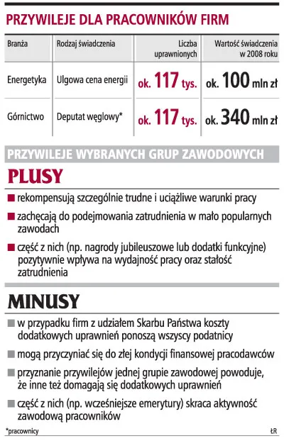 Przywileje branżowe kosztują firmy miliony złotych