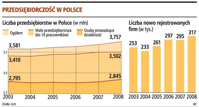 W praktyce niewielu przedsiębiorców założy firmę przez internet