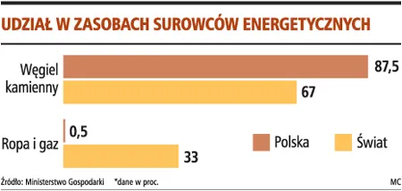 Udział w zasobach surowców energetycznych