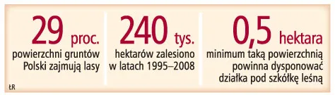 Na założenie szkółki leśnej potrzeba 200 tys. zł