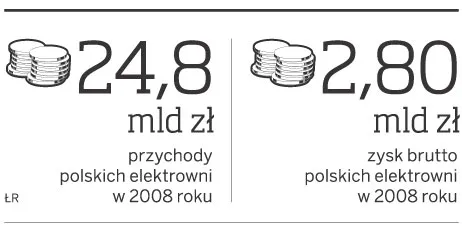 Po prywatyzacji elektrowni ich zyski popłyną za granicę