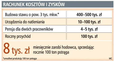 Rachunek kosztów i zysków
