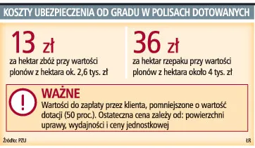 Koszty ubezpieczenia od gradu w polisach dotowanych
