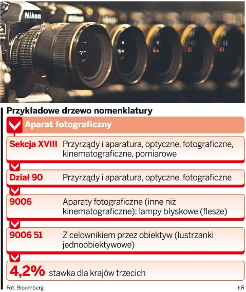 Przykładowe drzewo nomenklatury