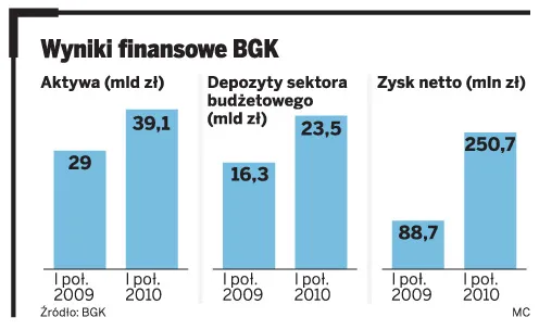 Wyniki finansowe BGK