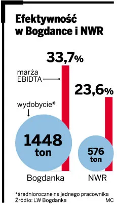 Efektywność w Bogdance i NWR