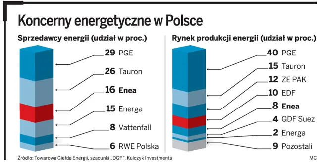 Minister sprawdza pieniądze na Eneę