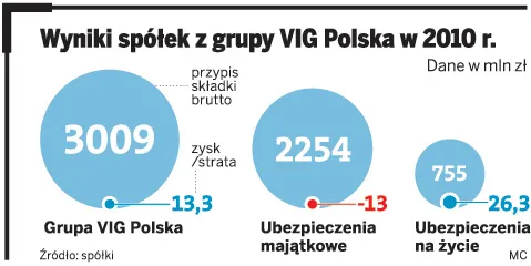 Wyniki spółek z grupy VIG Polska w 2010 r.