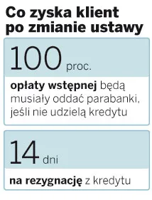 Parabanki nie zarobią na fikcyjnych kredytach