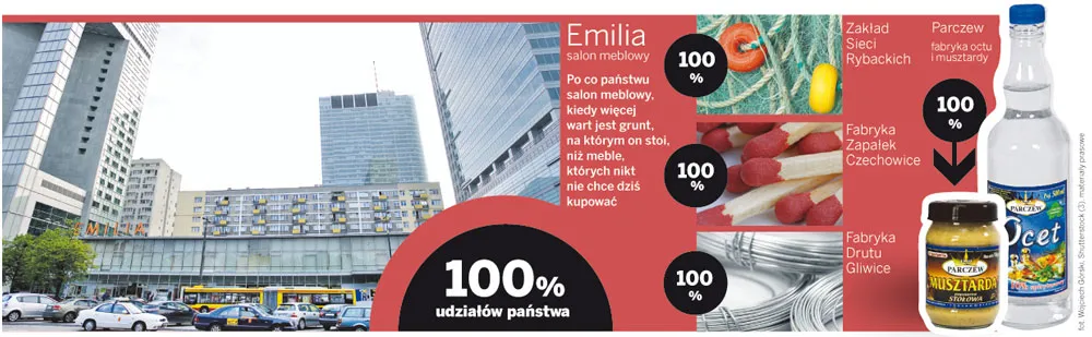 Prywatyzacja - czas na totalną wyprzedaż