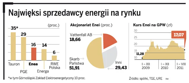 Najwięksi sprzedawcy energii na rynku