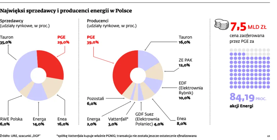 Najwięksi sprzedawcy i producenci energii w Polsce