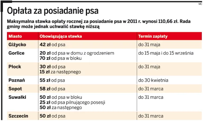 Komornik ściągnie zaległą opłatę za psa