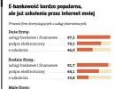 Przedsiębiorcy zaczynają doceniać potęgę internetu
