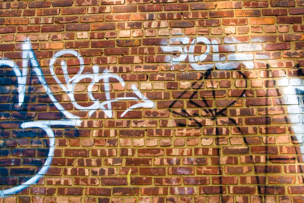 Grzywna dla właściciela nieruchomości za nieskoszony trawnik i graffiti na ścianie