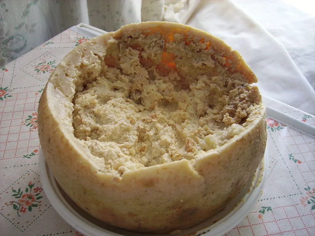 801090-1024px-casu-marzu-cheese.jpg
