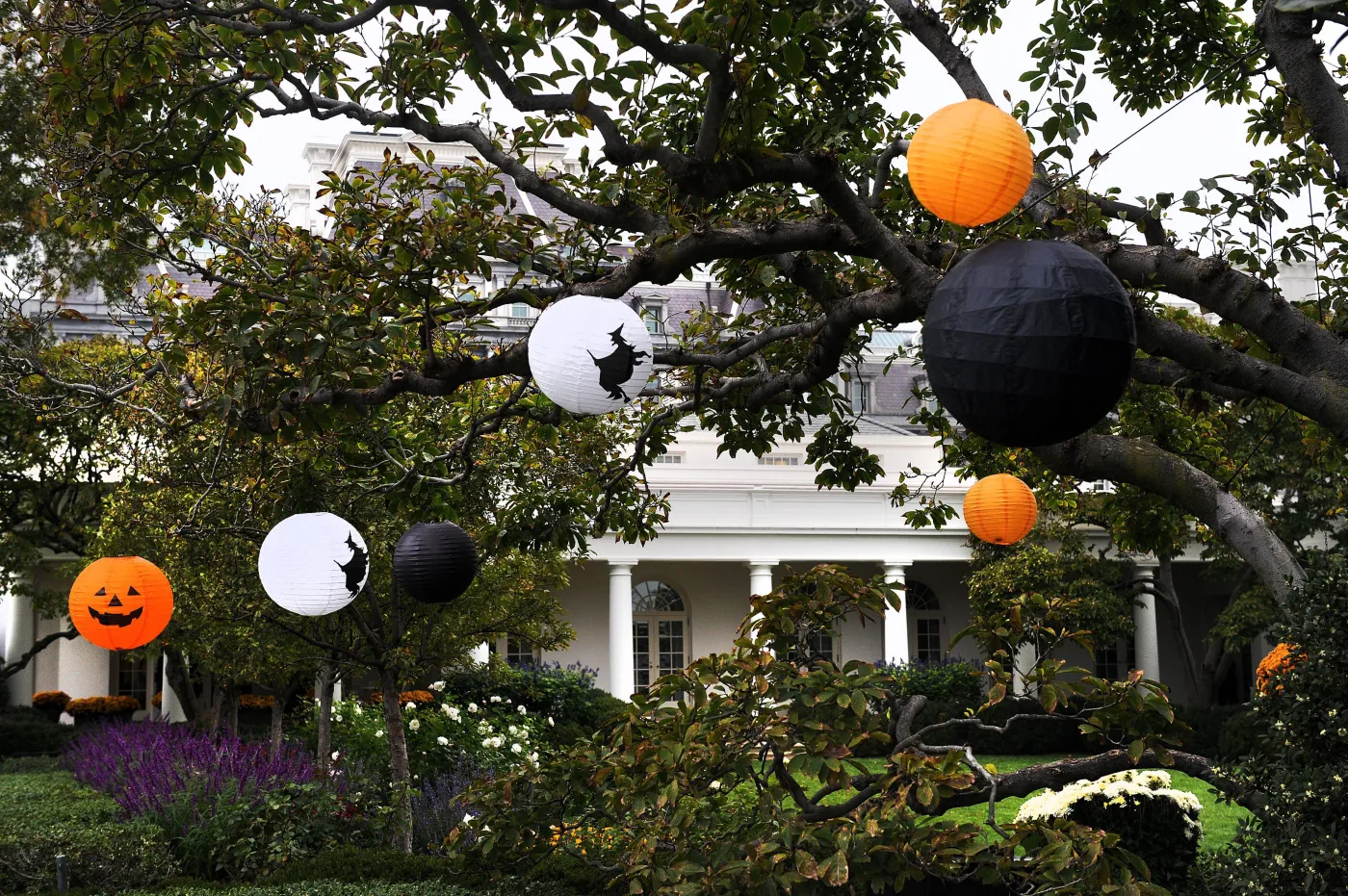 1544001-halloween-w-bialym-domu.jpg