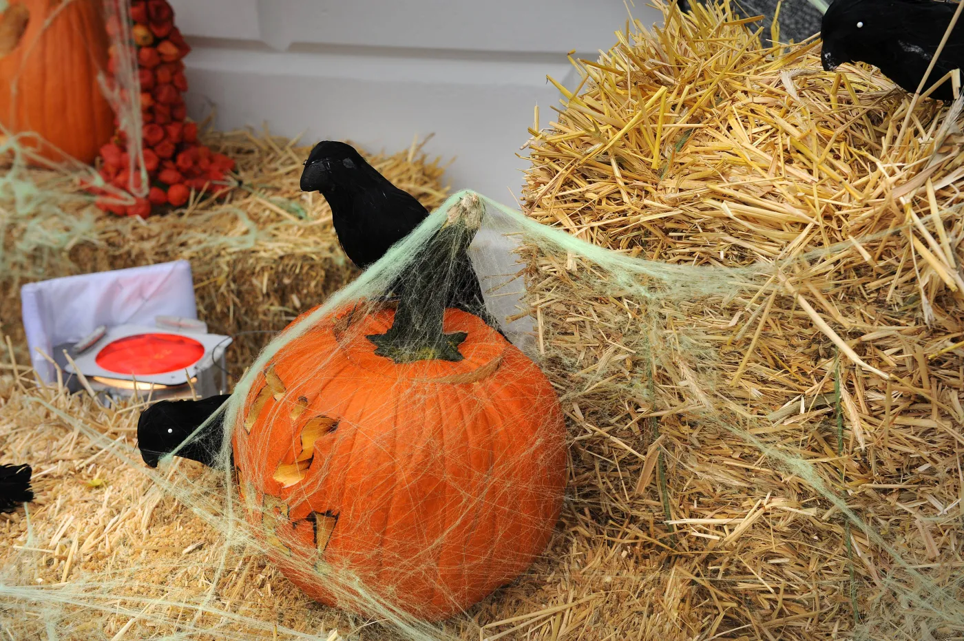 1543985-halloween-w-bialym-domu.jpg
