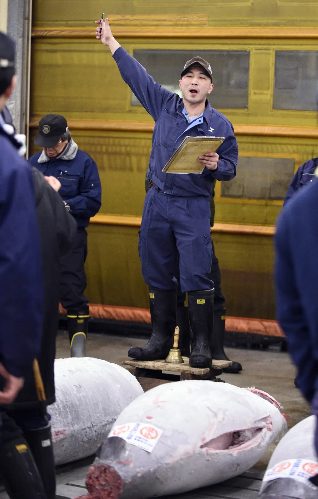 2037020-aukcja-tunczyka-w-japonii.jpg