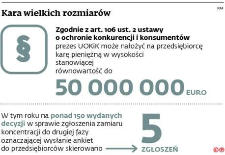 2304604-kara-wielkich-rozmiarow.jpg