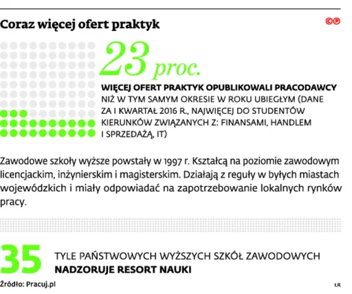 Pół roku praktyk na studiach