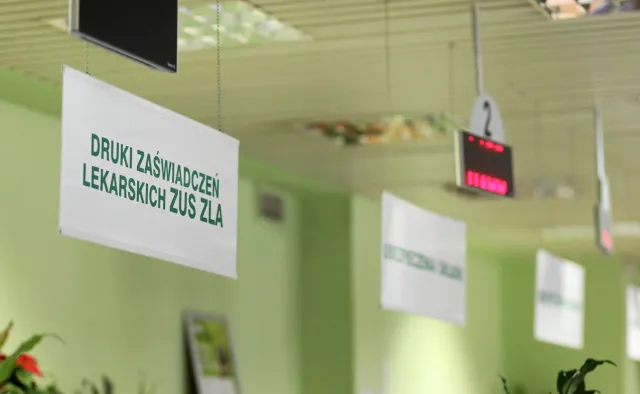 ZUS sam stwierdzi, kto jest płatnikiem